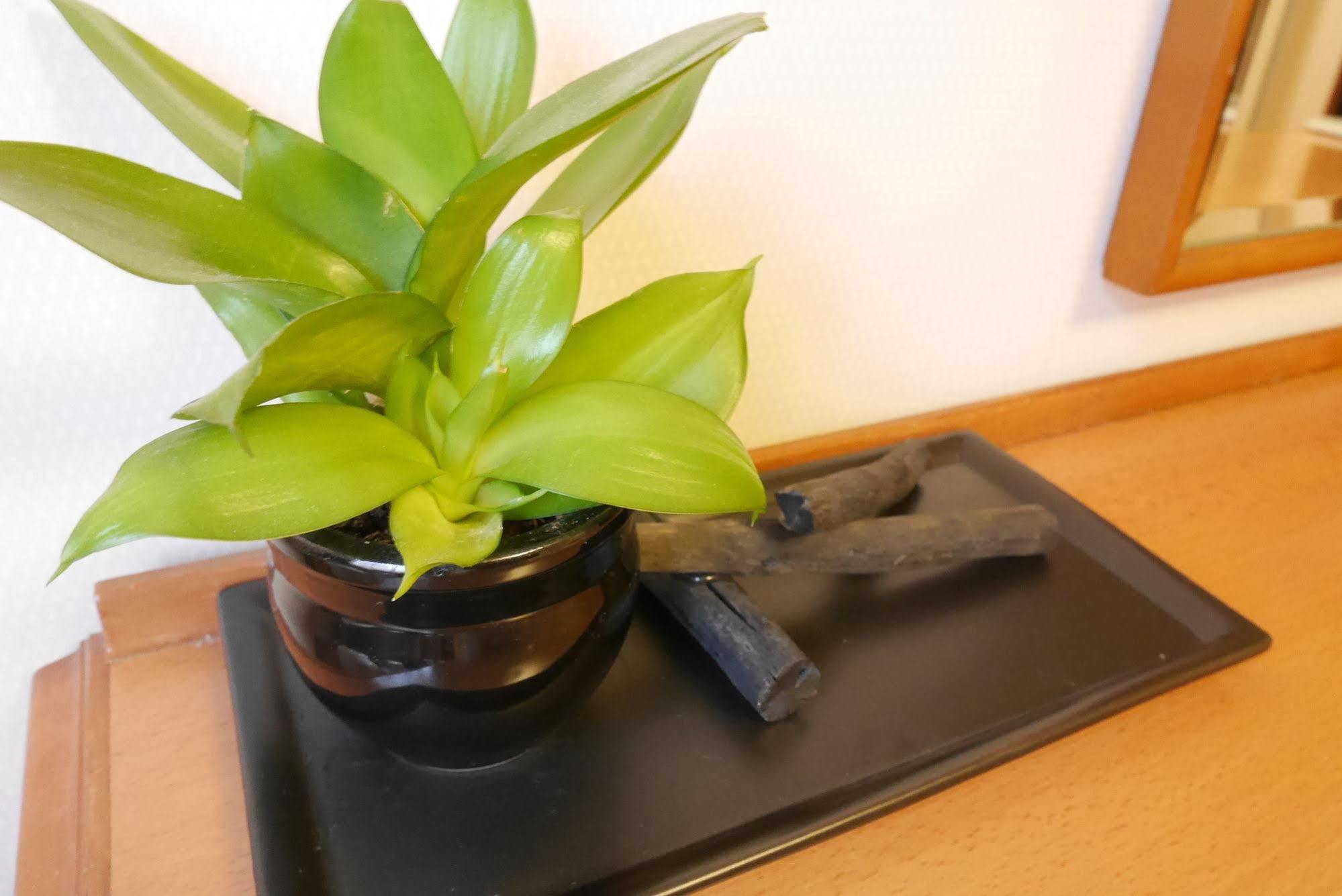 Hotel Yokohama Garden Екстериор снимка
